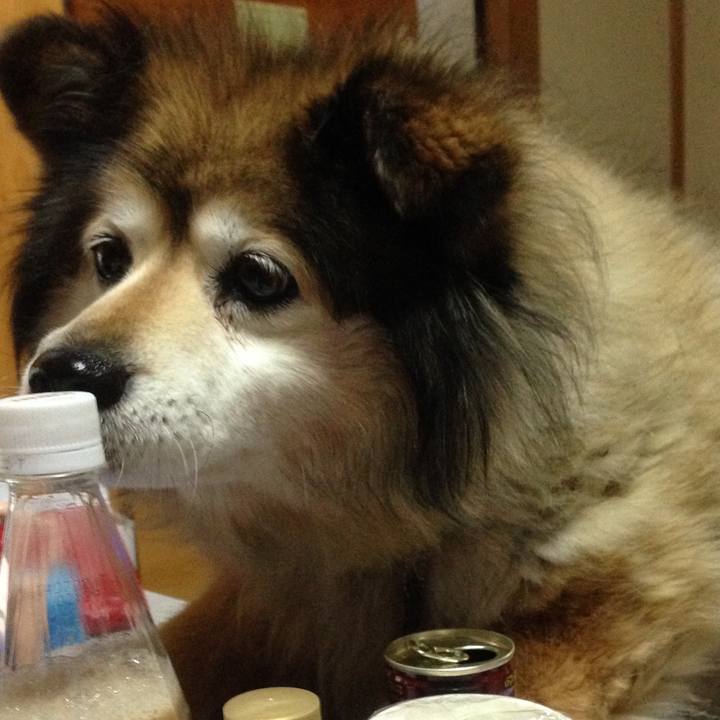 322de6e3 89e2 4e8f a805 0b26e671be73 1613437012314