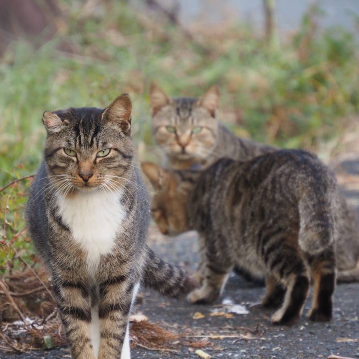 322e1949 be9d 4adc 9853 6e3facb3fcc1 1603809300975