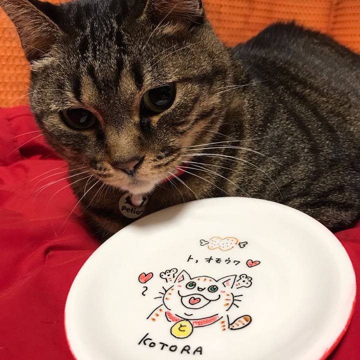 322e1b31 419d 43c0 b521 75d404ae9f95 1579708947900