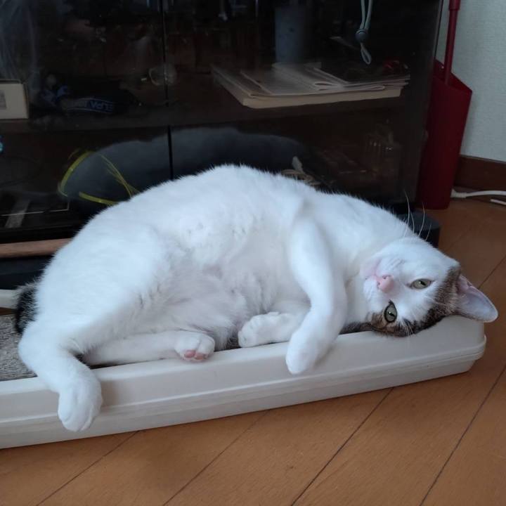 322e20b2 ebe9 48c5 bb1d c7273637f8e1 1752472077472