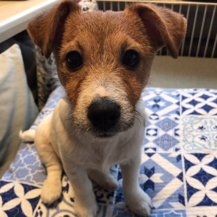 322e2d98 96e7 4038 916e abd804d2301a 1548459346946