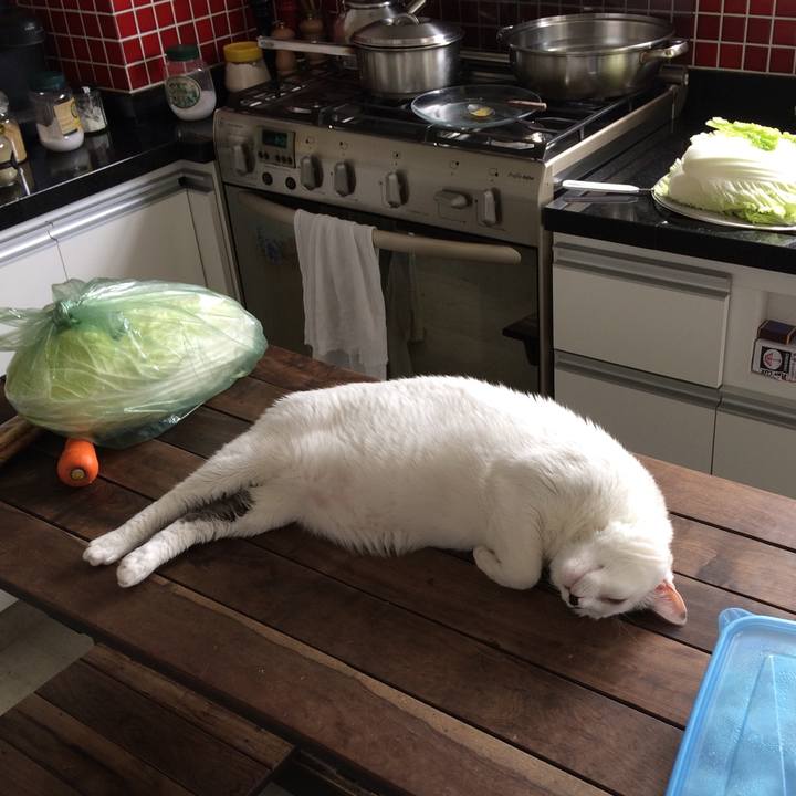 322e35b3 d4e2 41f0 8799 b164d383245c 1551127502052