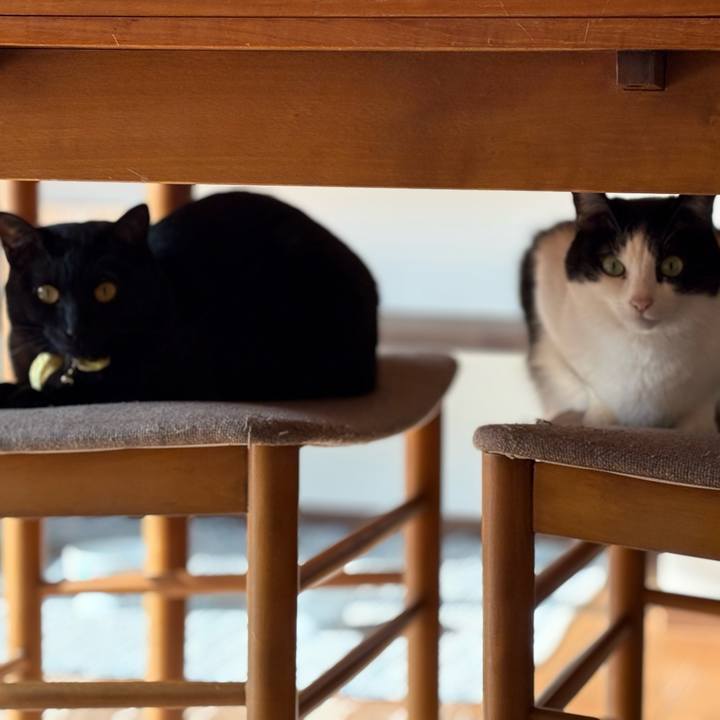 322e75eb f765 4db3 9ed5 ccca6c803695 1769907650020