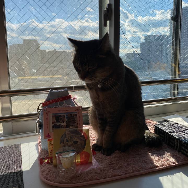 322e8036 d5fa 4bd0 bf4f 358072562116 1641451695491