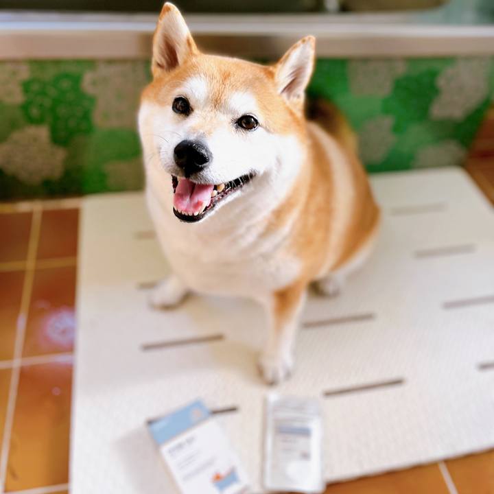 322ea6a6 488a 4535 a46f d424ba1b9c00 1678175725400