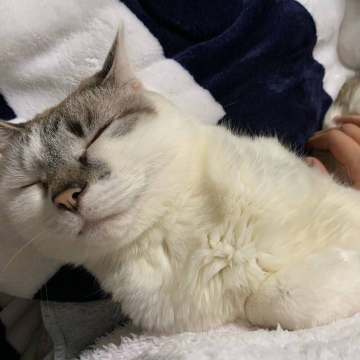 322edec6 4f8d 46e9 be2c 7cc13f0c2557 1614414542511