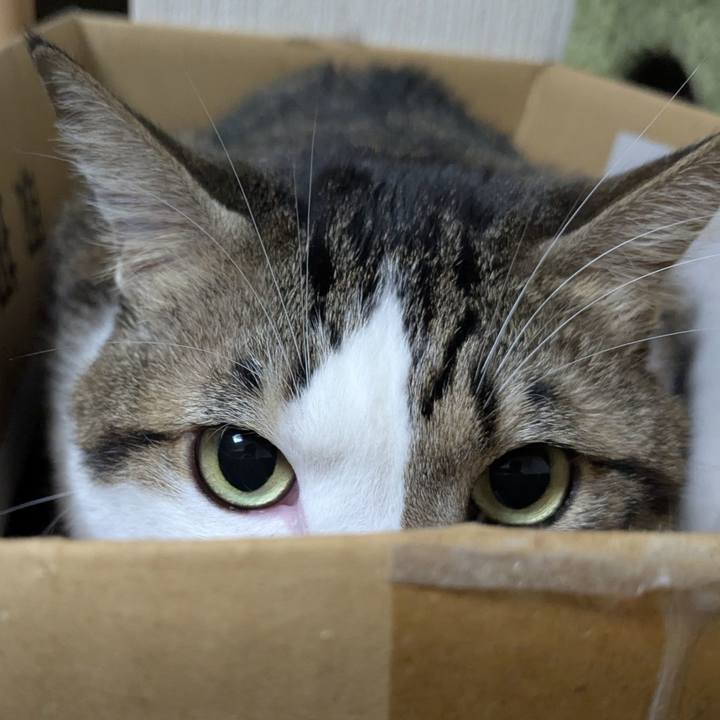 322f3d36 6ef0 4377 a508 39d6a2612663 1761312273306