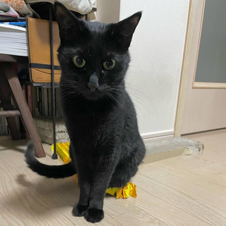 322f9b14 b97a 4a6b 93f3 2fbf014fad6a 1675598048961