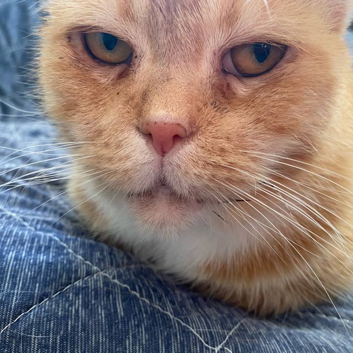 322fa08f c2f2 437f b2d6 bd9e22cdd84d 1638666055325