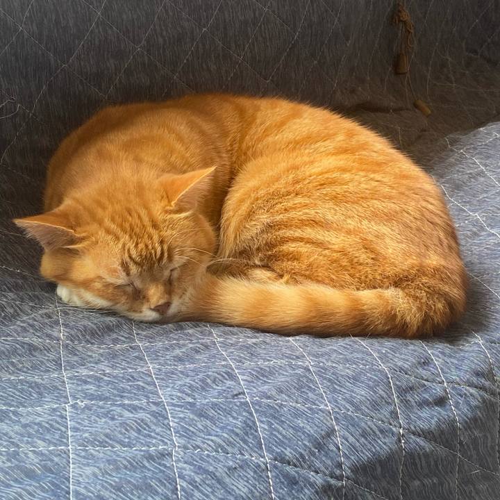 322ffec8 066f 4baa 9a69 69f5003b16fe 1620439878062