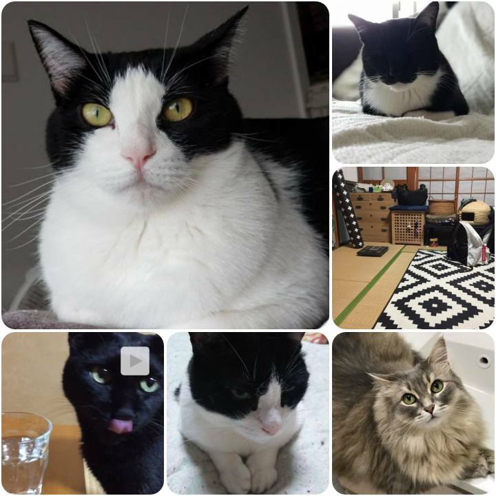 323009f1 ed51 4933 a21e 1527eba6cec8 1562323253770