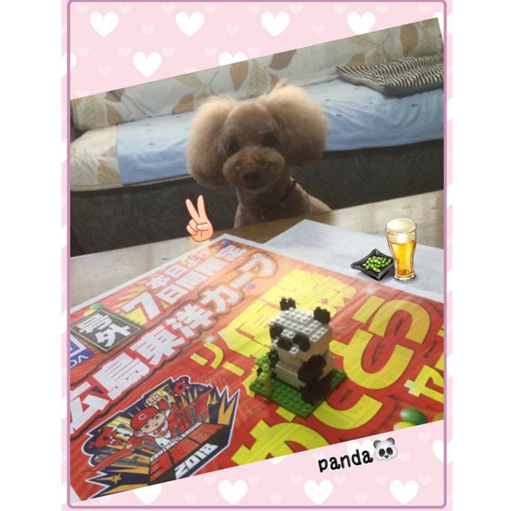 32301ed5 1d14 49b5 b526 404025520177 1538034346330