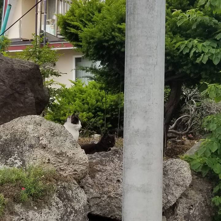 3230632c ed93 4ccf 805e c22d592fe230 1561782687479