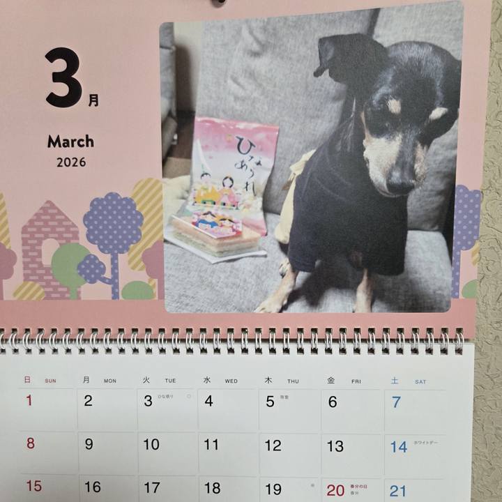 3230735d bd8c 47dc a370 53c38f326c7b 1772353008879