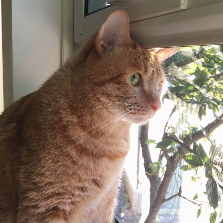 3230fb04 a68b 467d a607 d552acbf9d4b 1552431400823