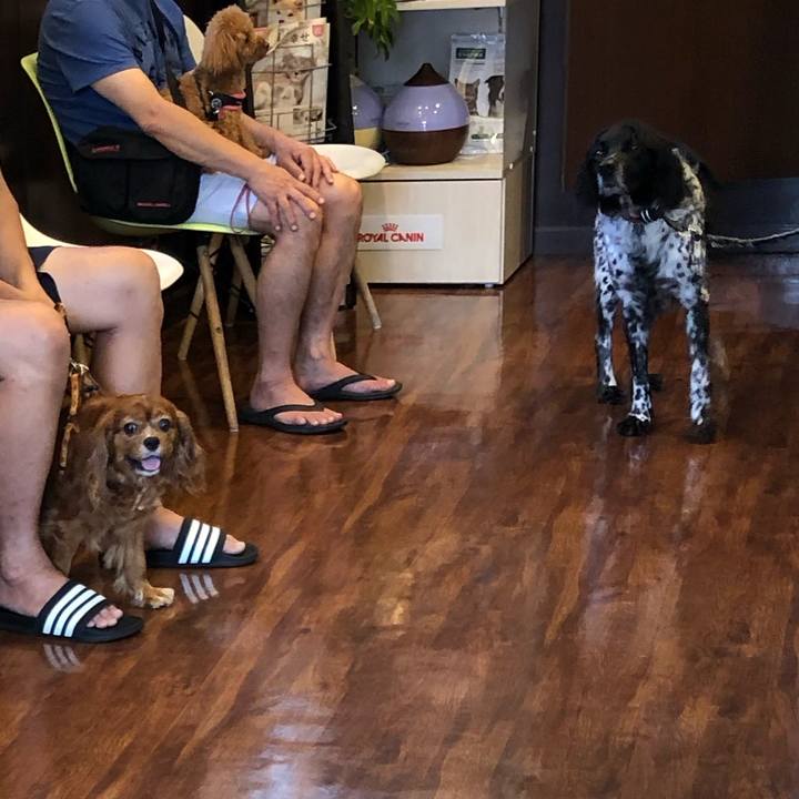 323120ec c4a6 4c49 ae15 b1c4bc809553 1631926933528