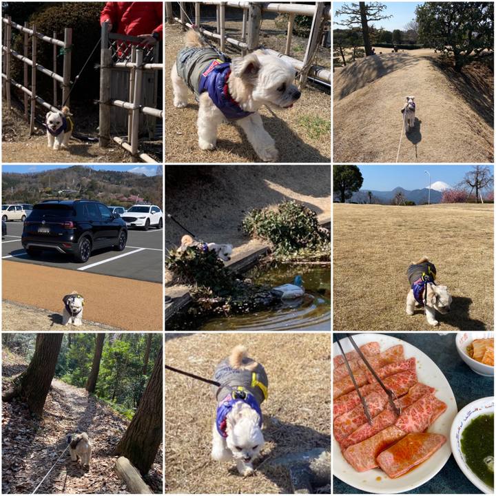 323121ef 577a 4b38 8cee dc937b1d92ba 1582532659512