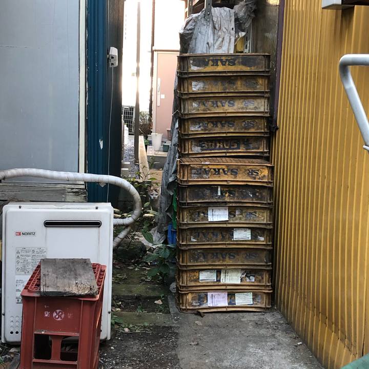 3231370b 737f 42fc bfe7 1be5a2ee334c 1607439315076