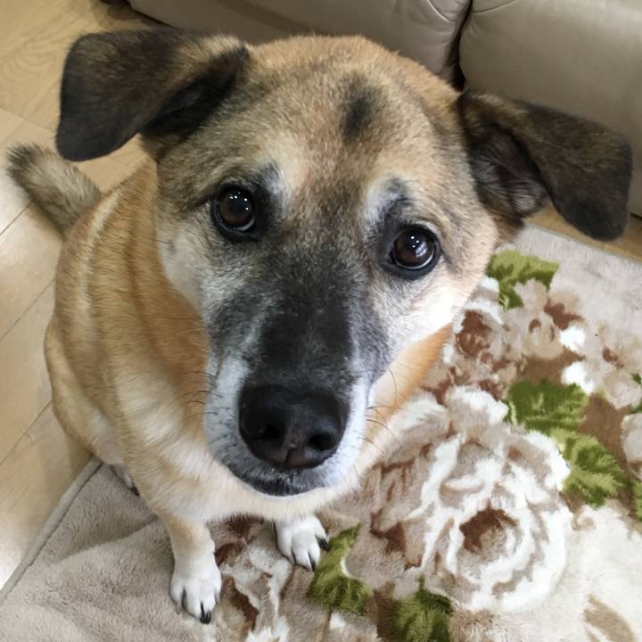 32314abe c490 462a afa8 b34f474438fd 1514620203697