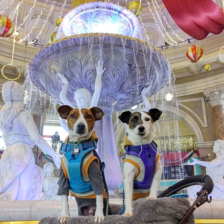 323187f2 afe1 429a 9ce2 ce4fae7d2eb9 1645950307408