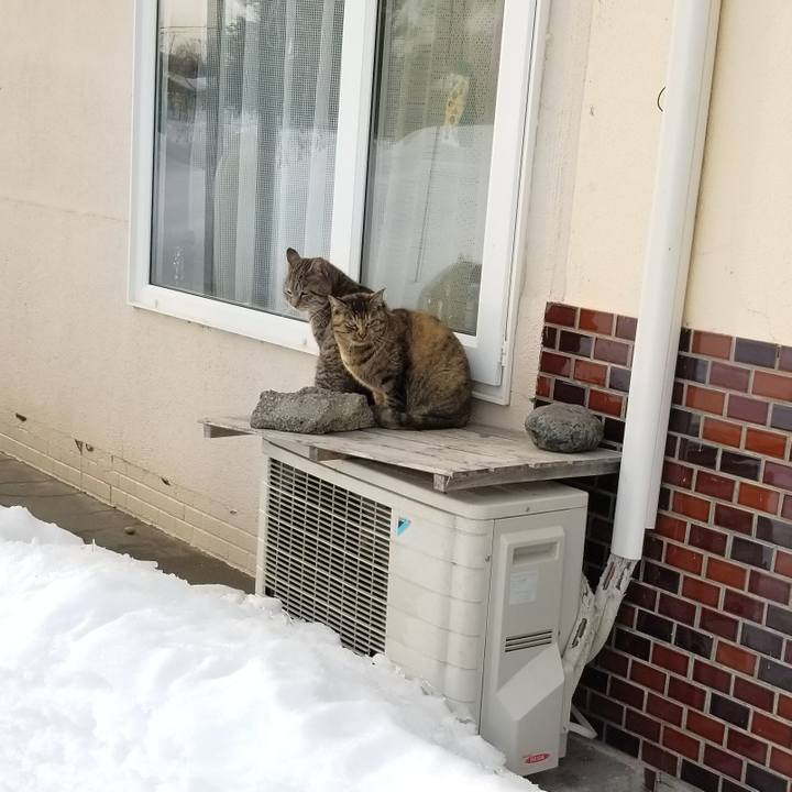 32318fbe 2aa8 4642 b295 5ee80568a4f5 1673705194487