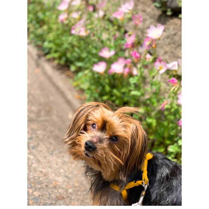 3231974a ee08 49de 9dc5 3113531073d8 1556859302116