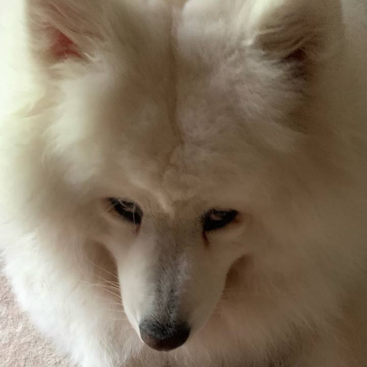 3231a6ac 4978 4203 99a5 231a065823b2 1625320040673