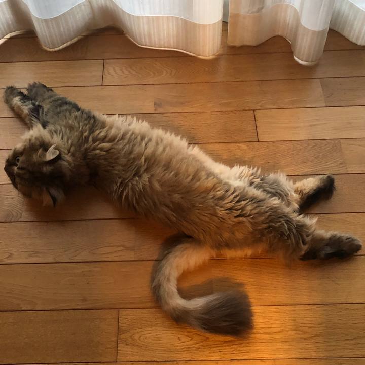 3231be4f 5177 4d15 921d 234e42bad5fc 1565609124139