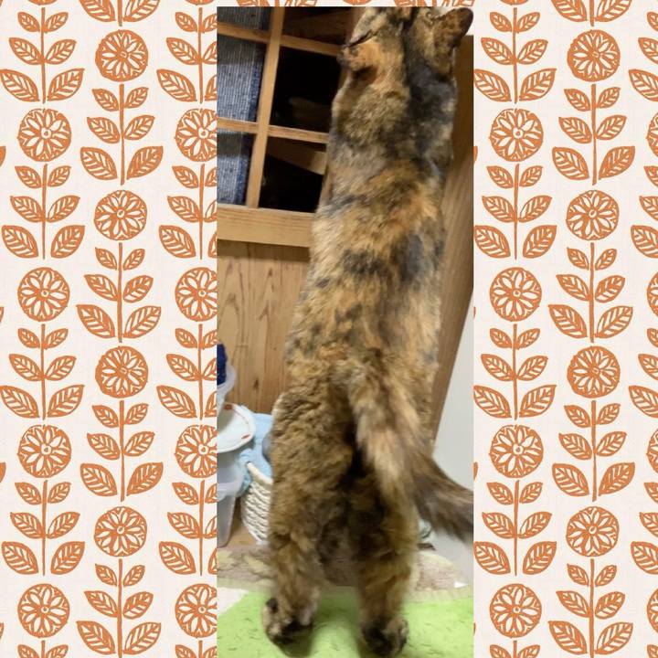 3231c726 4165 45c1 a4b4 8fc1b591d53d 1735700400439