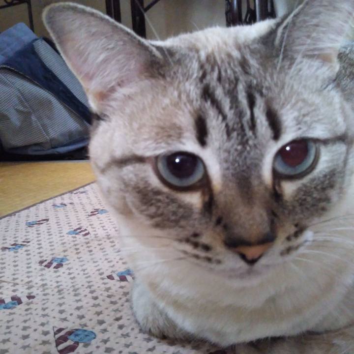 3231c914 aa82 40c9 8c48 427cc838e219 1535358707777