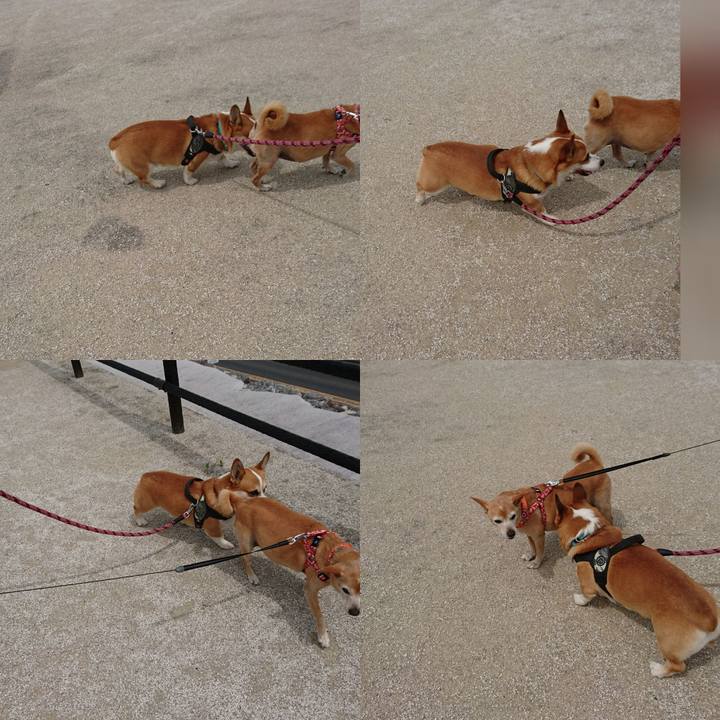 3231f2e5 ef2c 4528 86cd fc1a6fb6ce9e 1621992922412