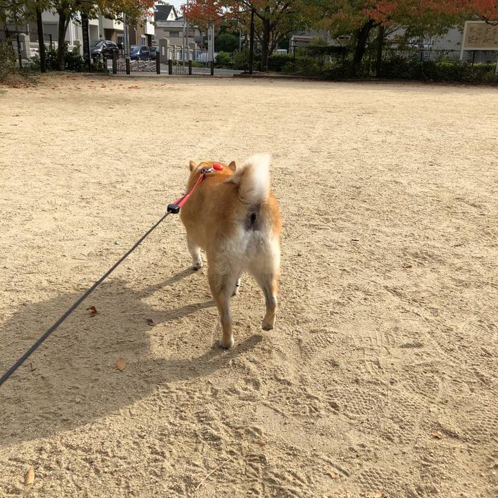 32320718 f355 49e5 867d 6cb17f16a399 1574041470970