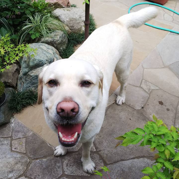 3232410e 8610 4733 a980 782f3aabd771 1559436328616