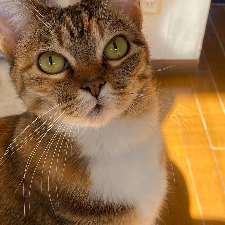 3232440d a07f 438d a243 8ea20a9fabed 1577847552421