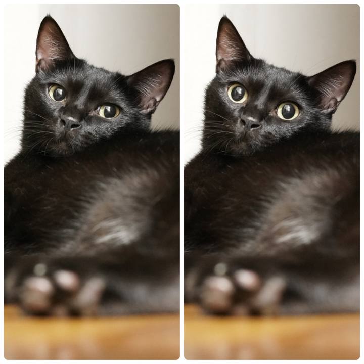 323284d2 6e92 4a8e 8608 9125ed682e66 1664455323013