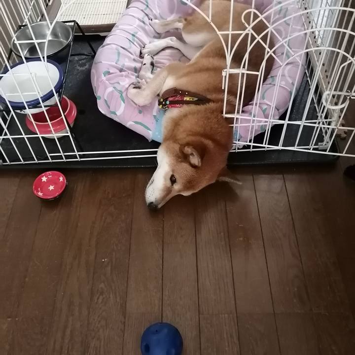 3232af3b 2dbd 40e5 bb43 87eb2bdaf658 1599178470730