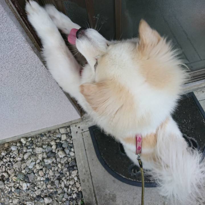 3232de6a 03f5 40ac a00c 3259105f94f3 1535351936095