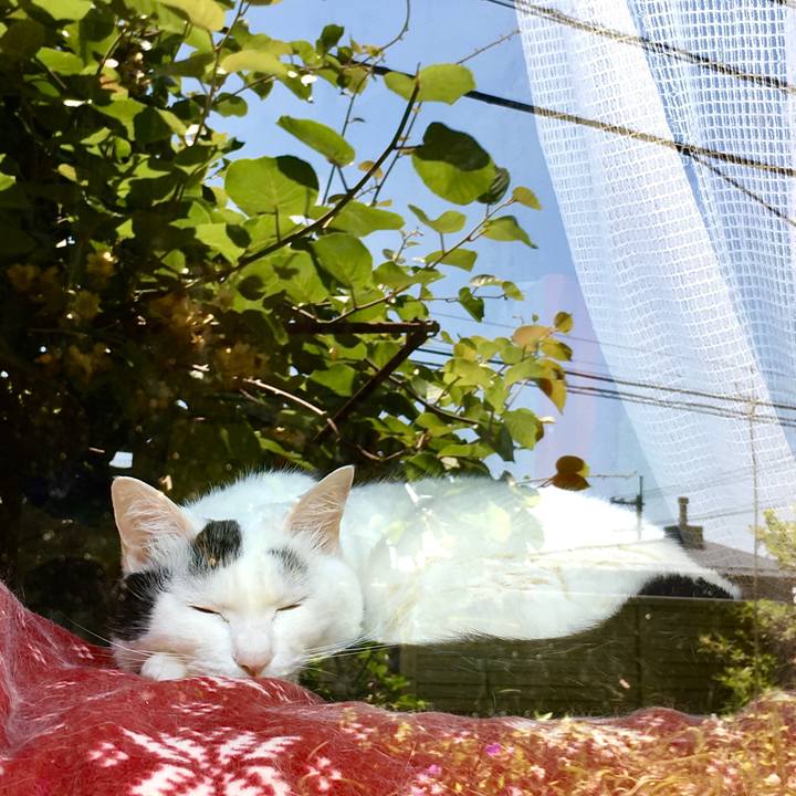 3232e5ff 91db 4bc7 aca0 b65e4aa23fd3 1592867117531