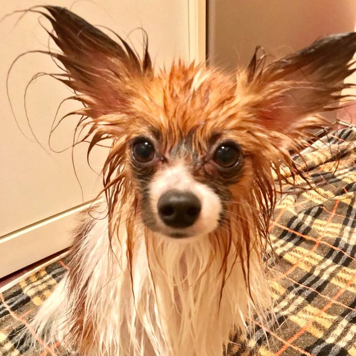 3232fbe4 ccb3 4d2c b0c2 8fd674f42768 1521973265806