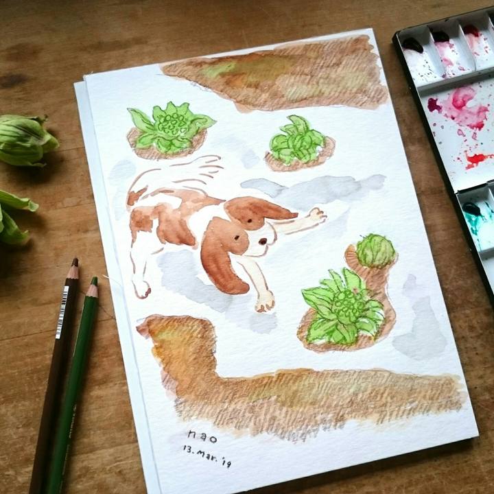 32330801 a22f 47f4 ba93 f7839fdcf173 1552442162360