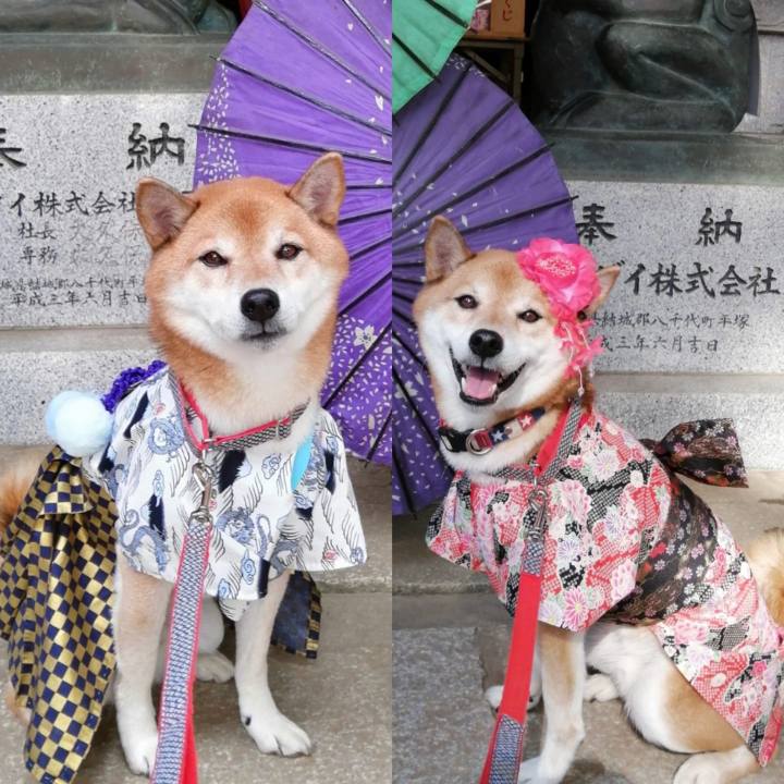 32330b10 d30c 41b5 afdb a2ecda8b680c 1668095144511