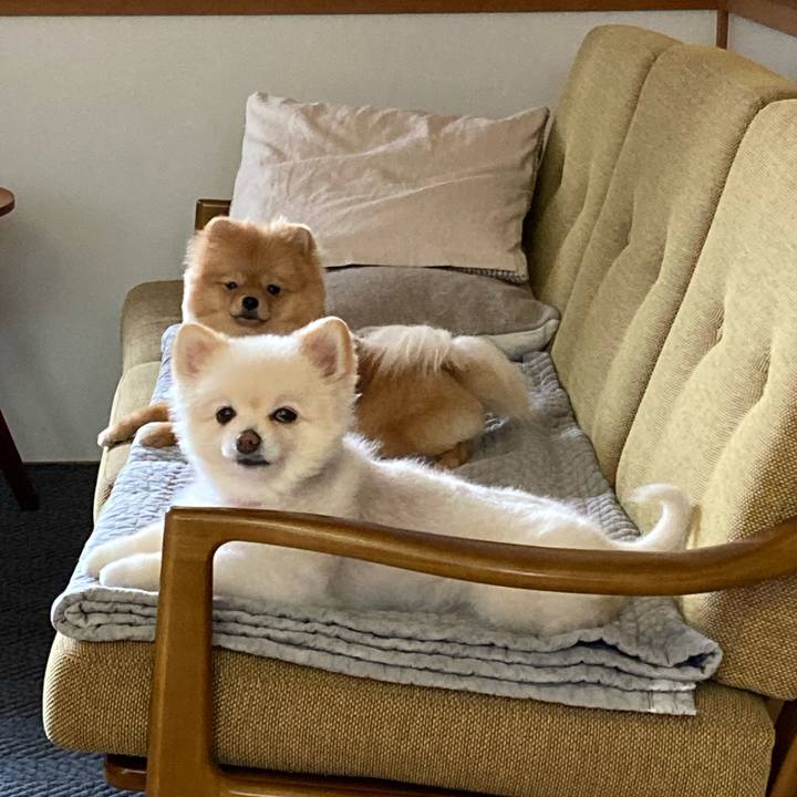 32330f7a 31c9 4920 ba1c 5eb9d9f9e78c 1651477543576