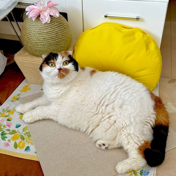 323376d4 b92a 42e0 a086 244ba237a18e 1708137863649