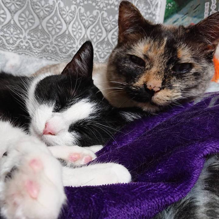 32337771 adad 4c91 80b1 64d570205aea 1588589247270