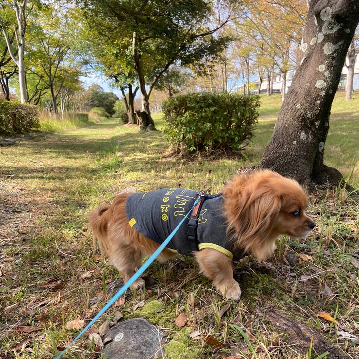 3233a9d8 50cf 4992 a455 b8adb3675bfd 1635033775488