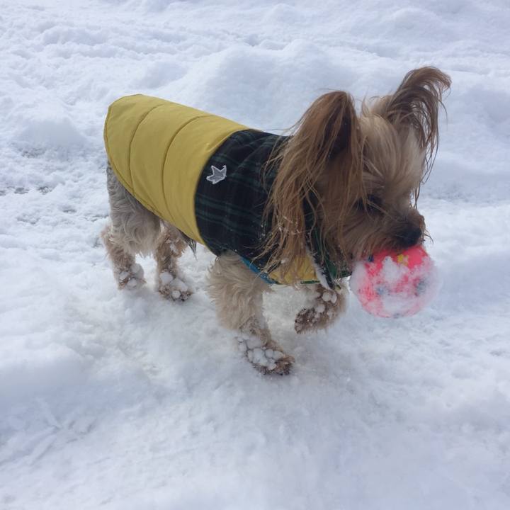 3233b34f 7bba 4d42 9011 746ecd78f615 1543825302325