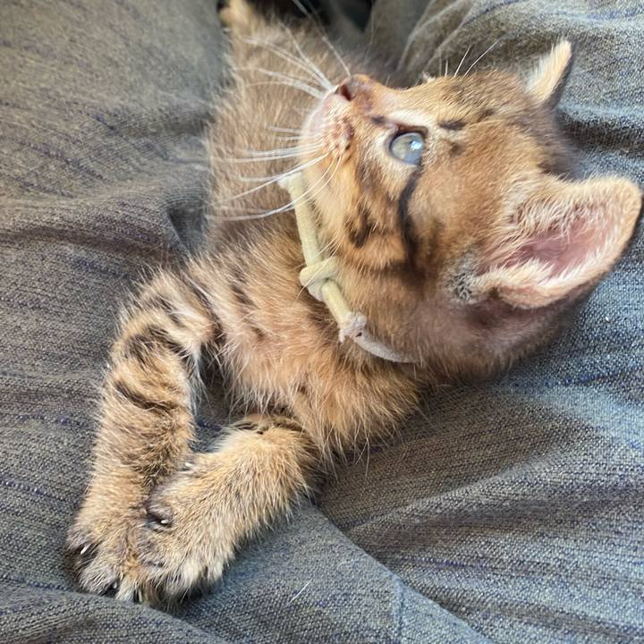 3233fc19 6873 4765 88d0 85c161ed004d 1635141556013