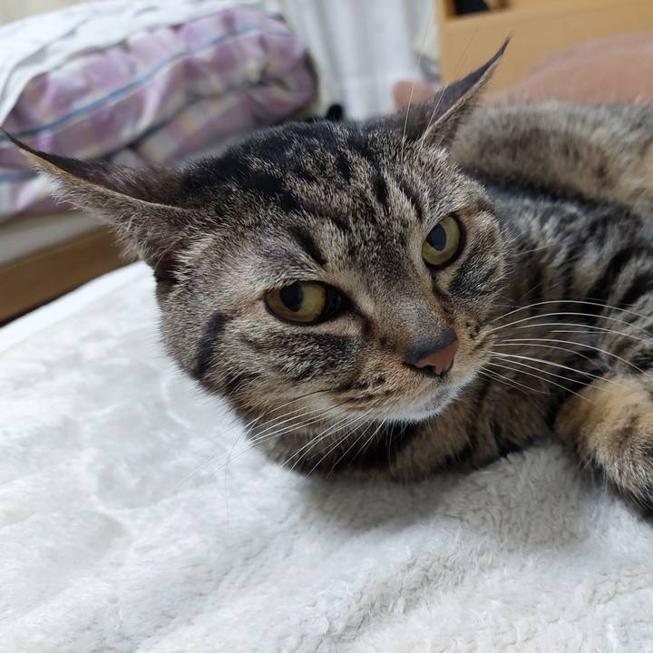 323433f5 a2bd 4a25 8620 6cb258769f27 1645739088842