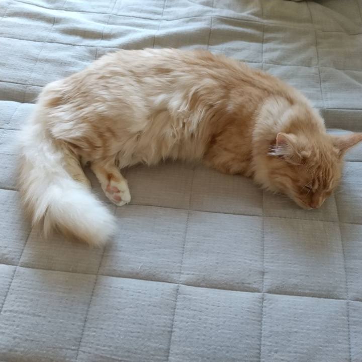 32344cd8 f8ee 466b 95ea cdabccaff2df 1621912778198