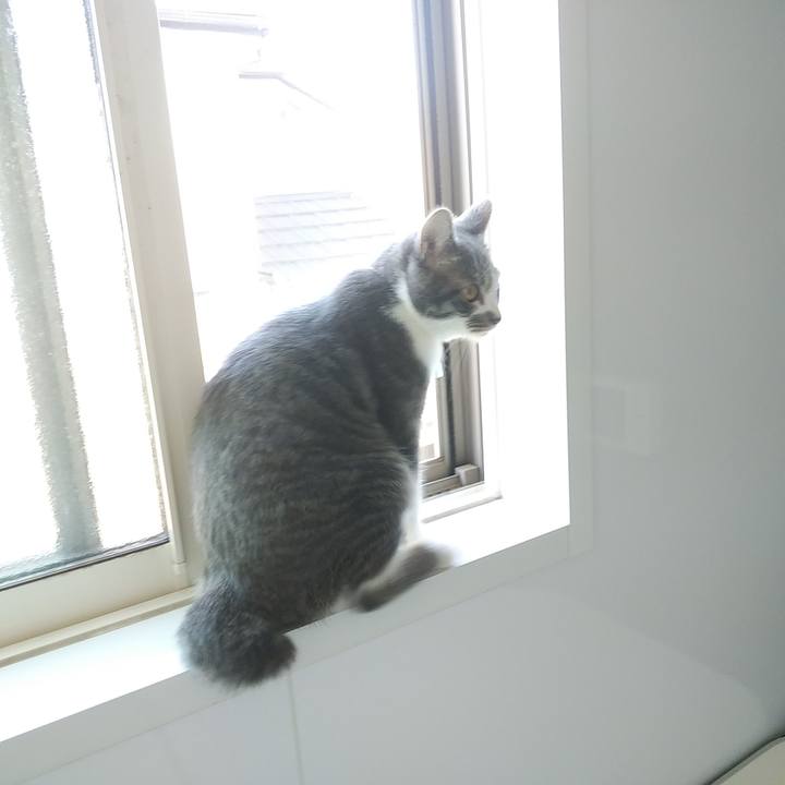 32346e15 d244 4e41 951f ec04c8912f4e 1576816356111